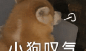 原创 
            硬蹭华为？魅族刚公布这 “ 王炸 ” 新机，被骂惨了…