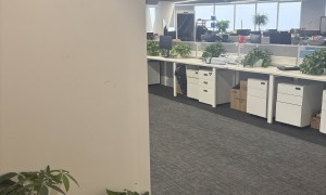 深度还原达闼困局：融资54亿估值一度超宇树，为何裁员过半、发不出工资？