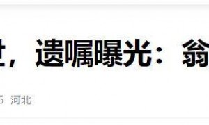 原创 
            痛心！杨振宁离世才2天，令人恶心的一幕上演，翁帆曾公开辟谣