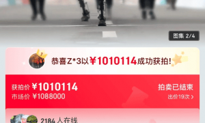 机器人半马冠军拍出101万元，客服：不带奖牌、非全新品