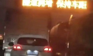 网友转发事故视频，交警致电要求删除，挂电话前爆粗口？保定高速交警：相关部门正处置