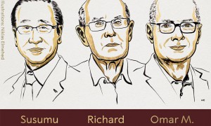 2025年诺贝尔化学奖揭晓,日、澳、美三国科学家平分835万人民币!
