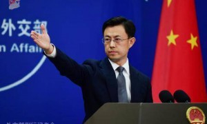 中国复购美国大豆?外交部回应