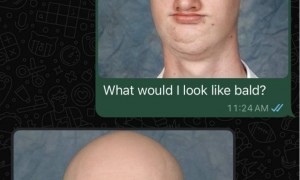 抄元宝融入微信的模式?Perplexity无缝接入WhatsApp
